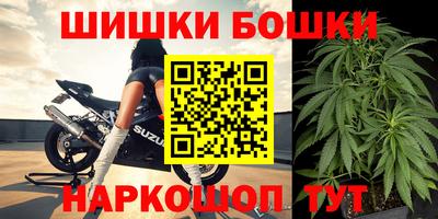 крисы Заводоуковск